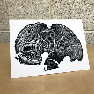 Bois D'arc Tree Ring Print from a fallen tree near Evant, Texas, on heavy matte card stock